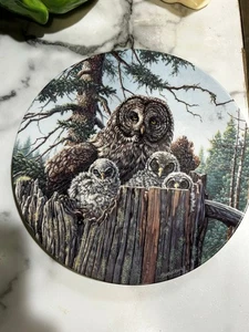 Forest's Edge: Great Gray Owls Knowles dekorativer Porzellanteller 8 Zoll - Bild 1 von 2
