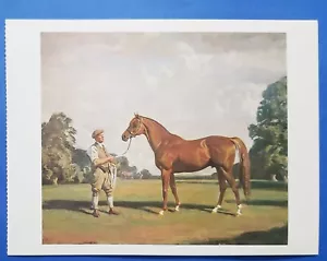 Postcard Sir Alfred Munnings Horse Art Painting Hyperion Derby Winner - Picture 1 of 2