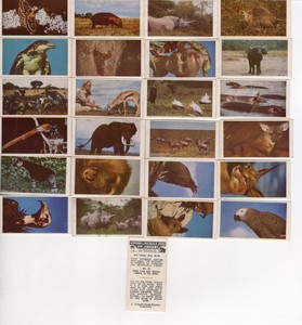 Comet Sweets Armand & Michaela Denis on Safari Full Set of 25 issued in 1961