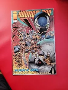 Youngblood #10 Image Liefeld Stephenson Spawn Death Of Chapel Board Sleeved Mint - Picture 1 of 3