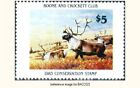 HALFPRICE Boone and Crockett Club 1983 $ 5 Briefmarke (Caribou)