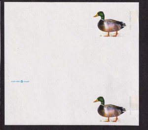 2021 Mallard stamped Postal Card Sc UX648 Mis-cut postal card from sheet (T1 - Picture 1 of 1