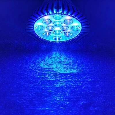 36W PAR38 Blue Cyan 495nm 450nm 470nm LED Lamp Light Spot Bulb Plant Aquarium - Image 1 of 4