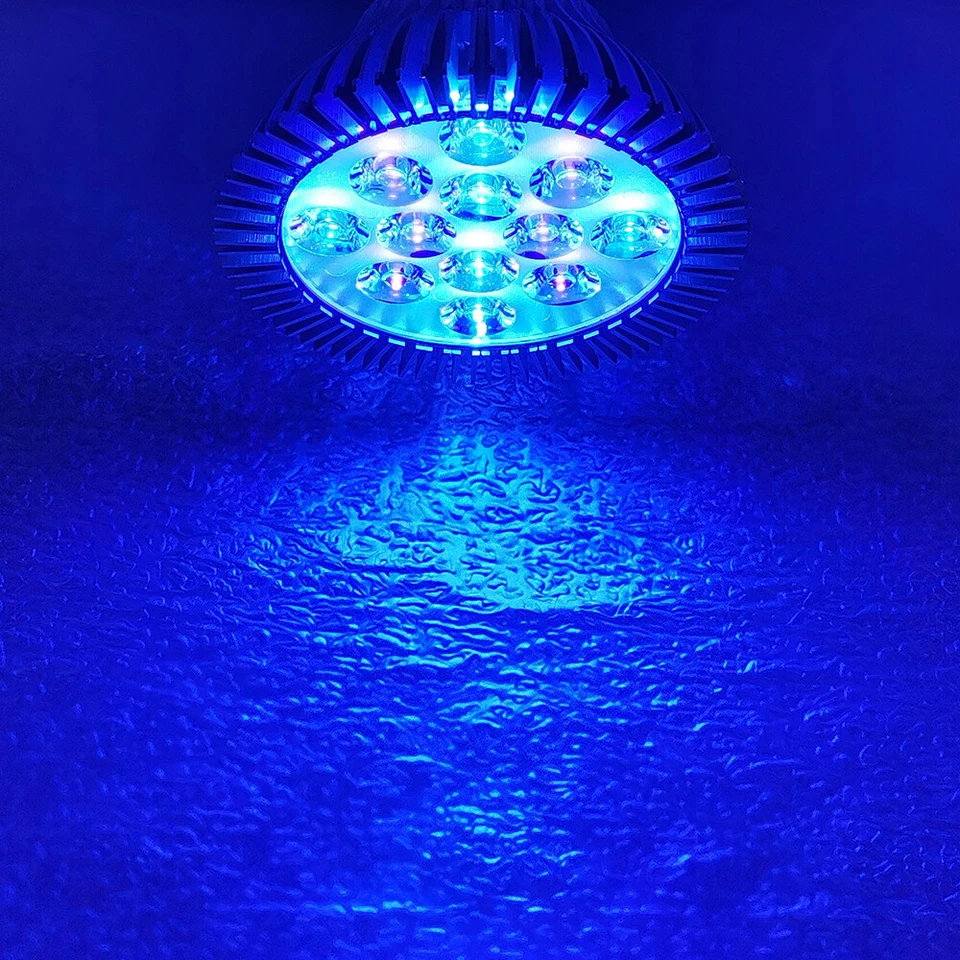 36W PAR38 Blue Cyan 495nm 450nm 470nm LED Lamp Light Spot Bulb Plant Aquarium - Image 1 of 4