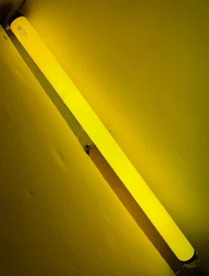 20W 24" 2Ft GOLD T12 F20T12/GO FLUORESCENT TUBE Light Bulb Westinghouse 373563 - Image 1 of 4