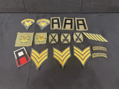 Colección de 17 insignias usadas de la Guardia Nacional del Ejército del Estado de Nueva York Foto 1 de 4