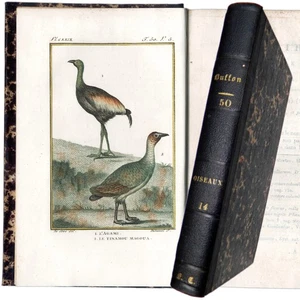 1800, 8 Bird Engravings! BUFFON, SONNINI, DE SÈVE: OISEAUX Vol. 14 (Exotic) - Picture 1 of 9