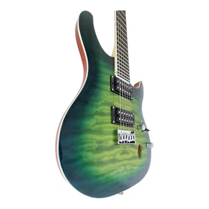 Haze Electric Guitar, Okoume Body, Green + Bag & Accessories, HZPRESTIGEBGR - Picture 1 of 10