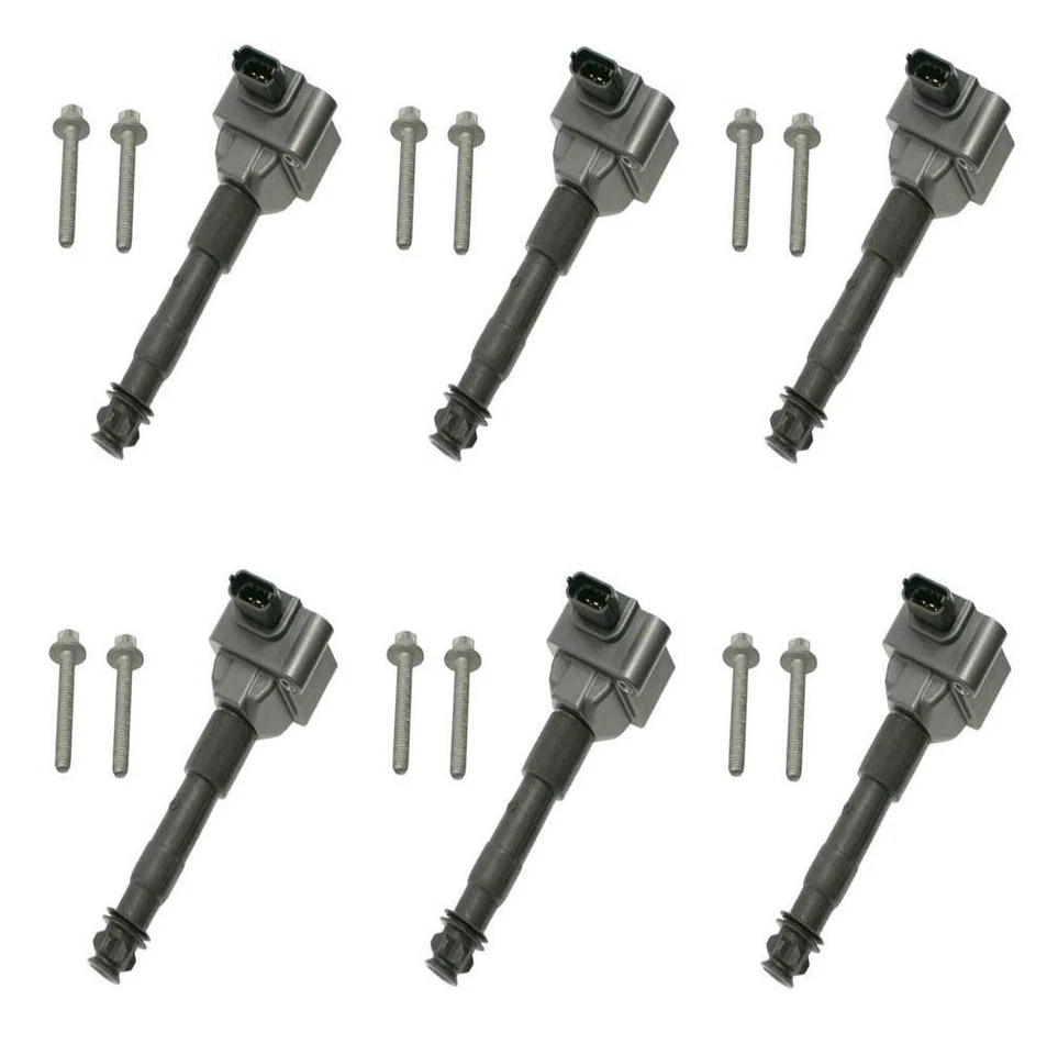 Juego de 6 bobinas de encendido directo Beru para Porsche 911 Cayman Boxster Foto 1 de 1