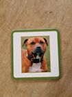 Staffordshire Bull Terrier Coaster Staffie Staffies Drinks Coaster Dog Dogs New