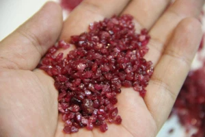 2-4 mm 100 Pieces Genuine Ruby Rough - Picture 1 of 4