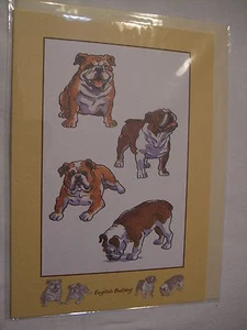 CARTE + ENVELOPPE - chien   BOULEDOGUE ANGLAIS - Bild 1 von 1