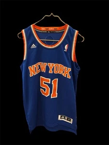 7159) Metta World Peace Ron Artest New York Knicks adidas Swingman Jersey SMALL - Picture 1 of 12