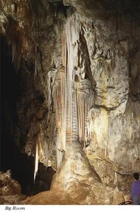 Postal Big Room Formación Rocosa Parque Nacional Cavernas de Carlsbad Nuevo México - Imagen 1 de 2