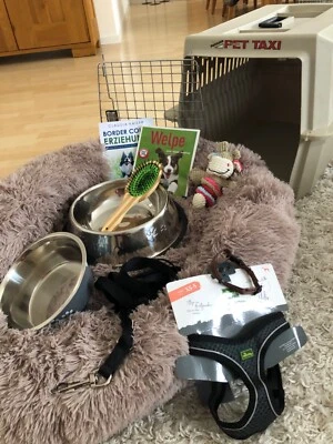 Starterpaket Welpe inkl. Transportbox, Hundebox, Flugbox - Bild 1 von 4