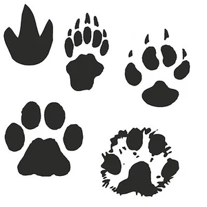 KT Animal Tracks Paw Hoof Claw Decal Sticker - Various Colours - 46 Designs - Picture 1 of 46