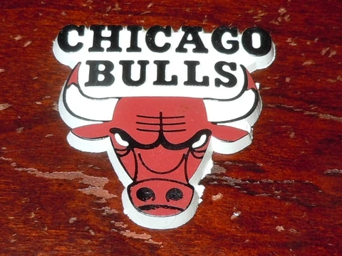 CHICAGO BULLS Vintage Old NBA RUBBER Basketball FRIDGE MAGNET Standings Board Cover