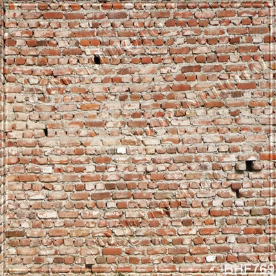 Brickwall 10'x10'电脑/数字乙烯基照片风景背景背景BHF769 — 第 1/3 张图片