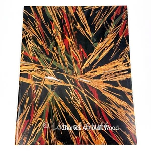 Charles Arnoldi: Wood by Michael Zakian 2008 TP Art Book - Picture 1 of 8