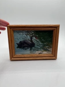 Vintage Framed Duck Photo Cottage Farmhouse Art 7x5 inches! - Picture 1 of 5