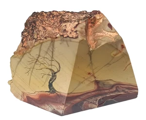 5 Pfund Bild Jaspis Rock Mookiate malerischer polierter Stein - Bild 1 von 11