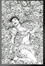 Bettie Page Unbound #6 John Royle B&W Virgin 1:25 Variant