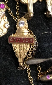 Pin Beta Sigma Phi Advisor Nuevo - Imagen 1 de 1