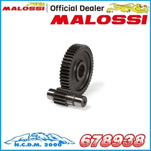 INGRANAGGI SECONDARI MALOSSI Z 13/48 PIAGGIO NRG MC2 50 2T LC -1997 - Imagen 1 de 4