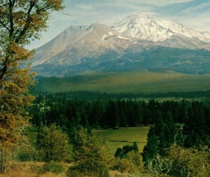 Mount Shasta Vulkan Bäume Hügel Landschaft Wald Berge CA Vintage Postkarte - Bild 1 von 4