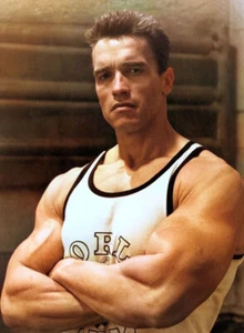 Filmposter Arnold Schwarzenegger Bodybuilding Fitnessstudio Motivation Wandbild Deko A4 - Bild 1 von 2