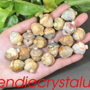 20pcs Natural Crazy agate acorns Quartz Crystal Mineral 1" Gem Figurines Healing - Picture 1 of 12