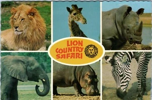 Lion Country Safari, California, Florida, Georgia and Texas Multiview Postcard - Picture 1 of 2
