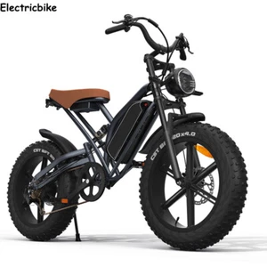 20" Electric Bike 7 5 O W 48V 14Ah Off-Road 50km Range 120kg Load Mountain bike - Picture 1 of 24