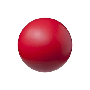 Champion Sports Palla in Schiuma Rivestita ad Alta Densità Rossa 4 Pollici per Bambini Gioco - Foto 1 di 1