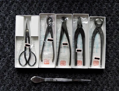 KANESHIN Juego de Herramientas Bonsai 5 Piezas Más Pinzas Kit Básico 6 Piezas Foto 1 de 2