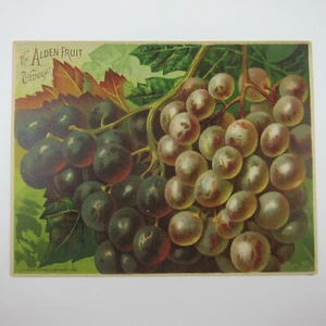 Victorian Trade Card LARGE Alden Fruit Vinegar Grapes AL Higley NY Antique 1883 - Picture 1 of 12