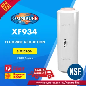 FLUORIDE FILTER XF934(5 MICRON) WITH ACTIVATED ALUMINA–REDUCES FLUORIDE BY> 90% - Picture 1 of 2