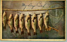 Caught fish hanging, "My Days Catch", V o Hammon Publish Co. postcard #114