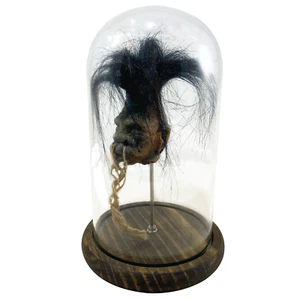 Shrunken Head with Hair Bell Jar Faux Voodoo Witchcraft Oddity Primitive Magic - Picture 1 of 8