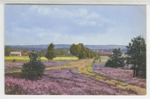 Inglaterra Postal Vista de New Forest - Salud, Inglaterra c1910 vintage 1 F24 - Imagen 1 de 2