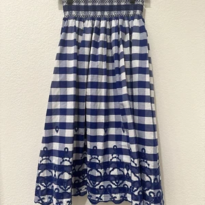 NWT Zara Blue Gingham Embroidered A-line Midi Skirt Sz S - Picture 1 of 10