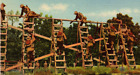 Fort Leonard Wood Missouri Climbing Ladder On Obstacle Course VINTAGE Postcard