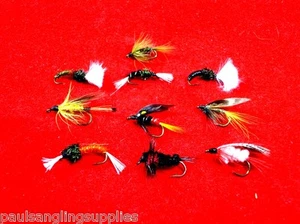 10 ASL Assorted Fishing Fly / Flies for Trout Salmon Mix 3 - Picture 1 of 1