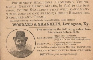 Woodward Shanklin 500 Horse Auction Lexington Kentucky 1894 Postal Card 7m - Picture 1 of 3
