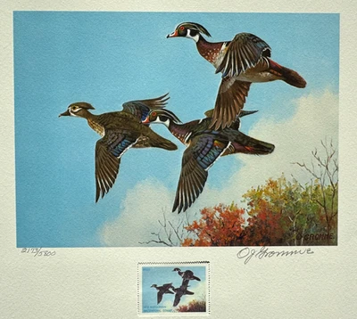 1978 Wisconsin First of State Duck Stamp Print with Stamp - NEVER FRAMED - Image 1 of 4