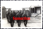 I9/43 WW2 ORIGINAL PHOTO OF GERMAN WEHRMACHT RAD OFFICERS