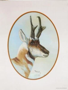 Pat Lipetzky, White Fish/ Montana, Lithograph, signed and numbered in pencil - Picture 1 of 3