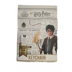 Llavero Mundo Mágico Harry Potter 1 Caja Coleccionarlos Todos Caja Ciega 1/6 - Imagen 1 de 2