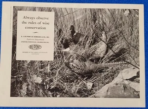 1939 DUPONT SPRENGSTOFFABTEILUNG "WEISER SCHUTZ" FASAN WILDTIERE DRUCKANZEIGE - Bild 1 von 1