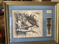 Vintage ruffed grouse watercolor/print with feathers